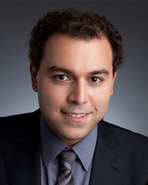 Portrait placeholder for Dr. Payam Mohseni